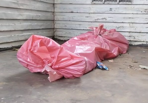 Bhojpur Accident: अनियंत्रित टेलर ने दवा लेने जा रही महिला को रौंदा