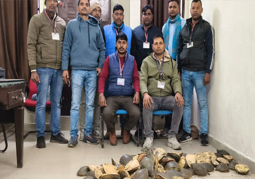 गया जंक्शन पर RPF ने 102 जीवित कछुए किए बरामद